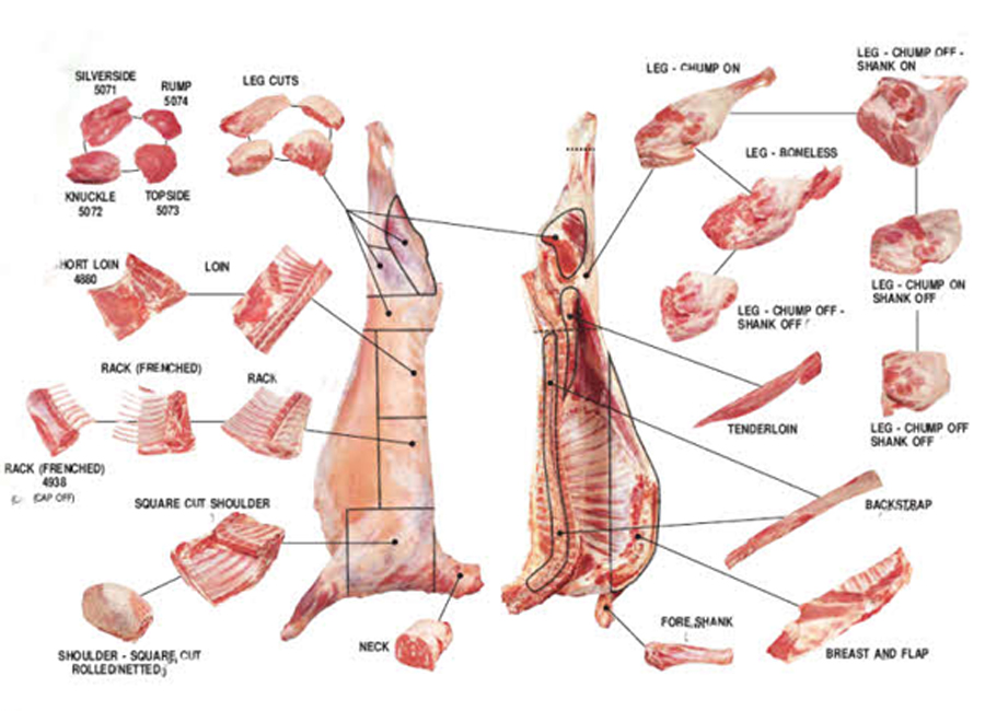 Meat Cuts Diagram